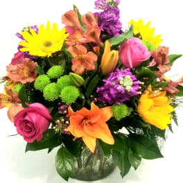 Vibrant Sentiments