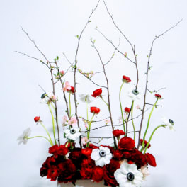 Modern Love Garden Screen Red
