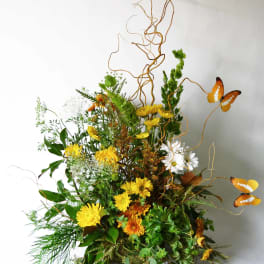Butterflies For A Beautiful Soul