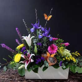 Vibrant Meadow - Sympathy