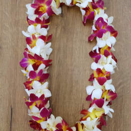 Sunset double orquid lei