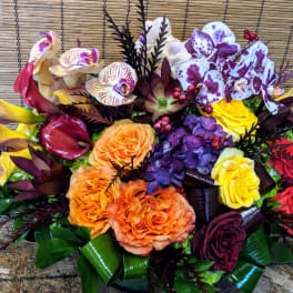 Celebrity Arrangement