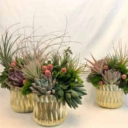 Texture Garden