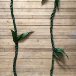Ti Leaf Lei