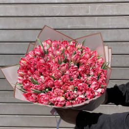 Spring Tulips