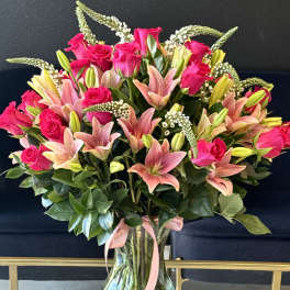 Lily Rose Bloom