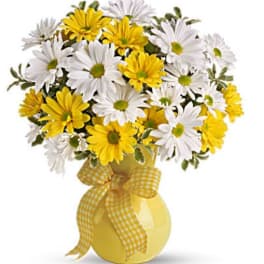 Upsy Daisy by TF