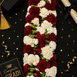Lei 18
