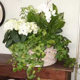 Blooming Garden Basket