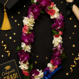 Lei 8