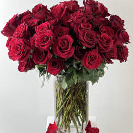 Bouquet of red roses in a clear glass vase with petals around the base