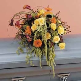 SF94-11 Casket Spray