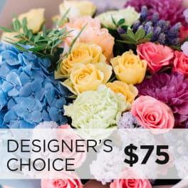 Designer's Choice $75