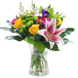 Lovely and Colorful