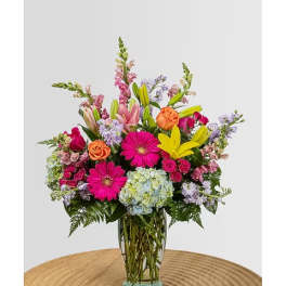 Spring Blooms