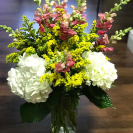 Elegant Hydrangea