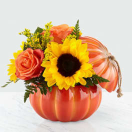 Harvest Traditions Pumpkin