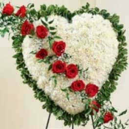 Bleeding Heart (white field)