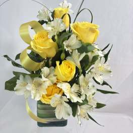 Roses of Sunshine