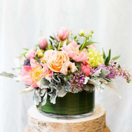 Spring Abundance