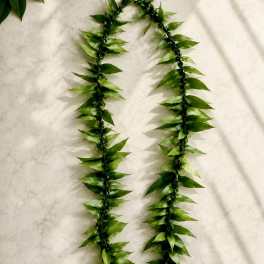 Ti Leaf Lei
