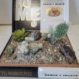 Romeo Cigar Box