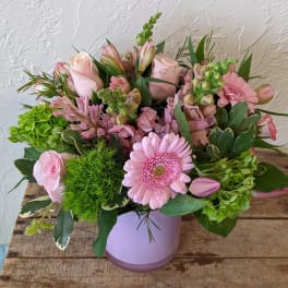 Monochrome Designer's Choice - Pink