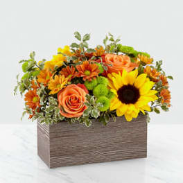 Orange roses and sunflowers in a rectangular wooden box