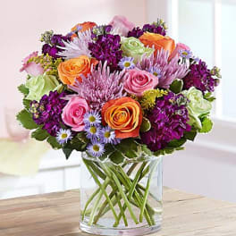 Beauty in Abundance