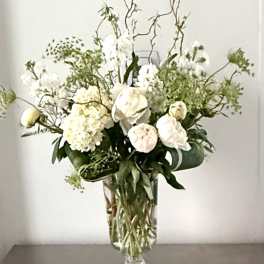Pure Peony & Lace