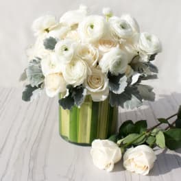 Delicate Whites