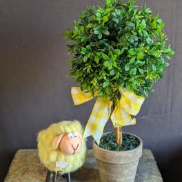 Sunny the Lamb & His Topiary