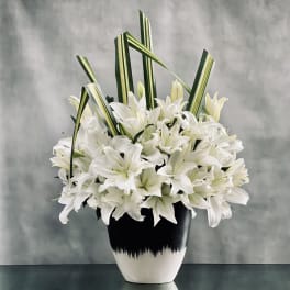 Sparkling Lilies
