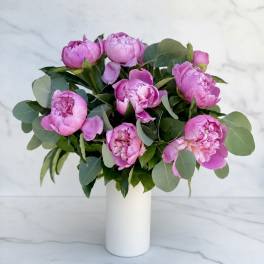 Peony Daydream