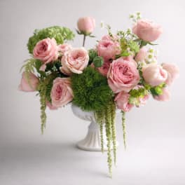 Low arrangement of pale pink and white roses with green accents in a white pedestal bowl