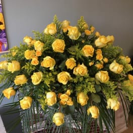 Golden Glory all yellow