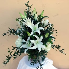 Casablanca lillies