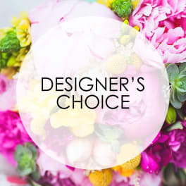 Designer Choice $200-300