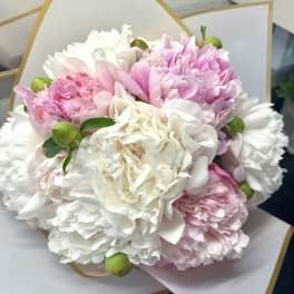 10 Stem Pink Peony Special