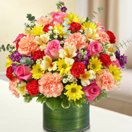 Cherished Memories - Multicolor Bright