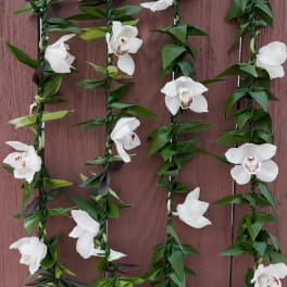 Cymbidium orchids + Ti leaves lei made by Kealoha Lei