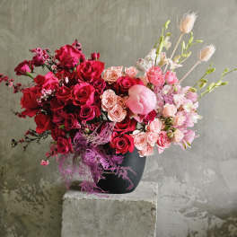 Scarlet Passion