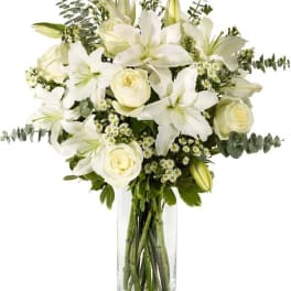 Alluring Whites