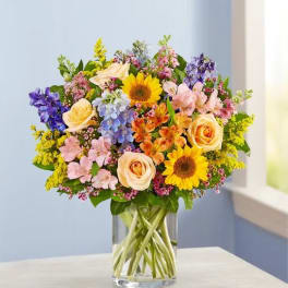 Spring Sensation