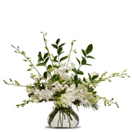 Simply White TMF13-278
