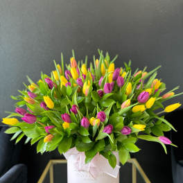 Spring Tulips