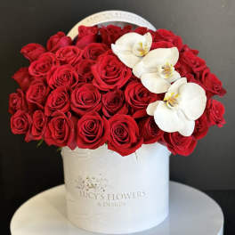 Truly Adored