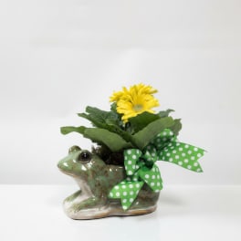 Petal Hopper