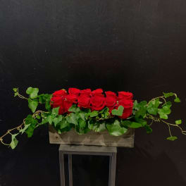 Rose Thicket