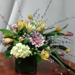 tulips and such